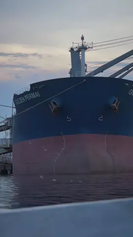 si emas tapi biru  #seafarer #pelautindonesia #fyp #xyzabc #CapCut 