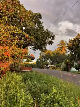 #fyp #foryou #malukuutarapride🏝🔥fypシviral #malukupride🏝🔥fypシviral #masukberanda 