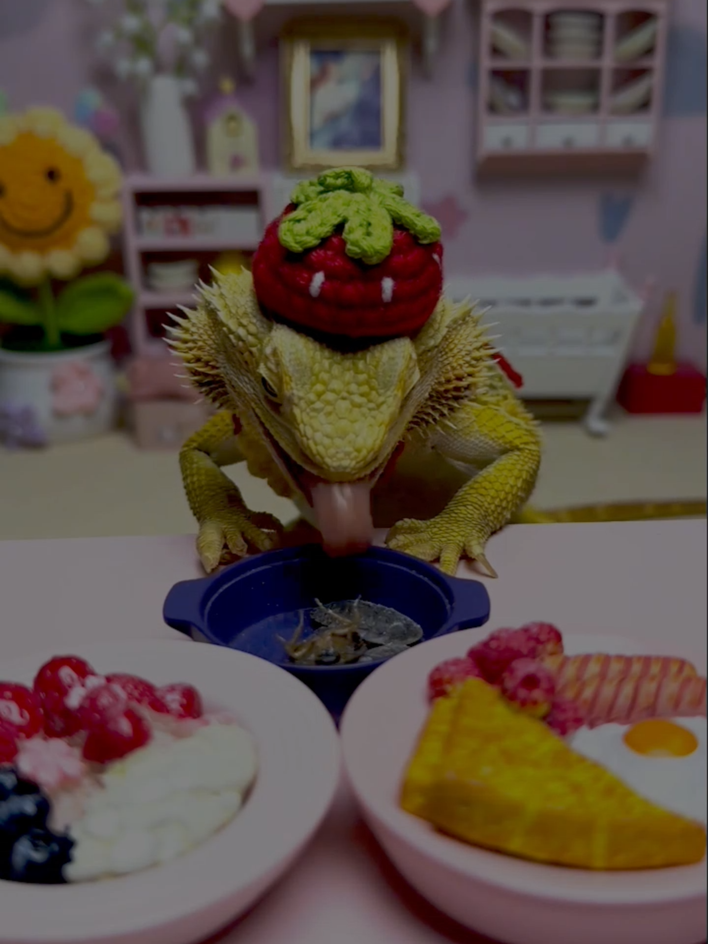 Reptile Lifestyle Goals 🐊 #BeardedDragon #CuteLizard #PetReptile