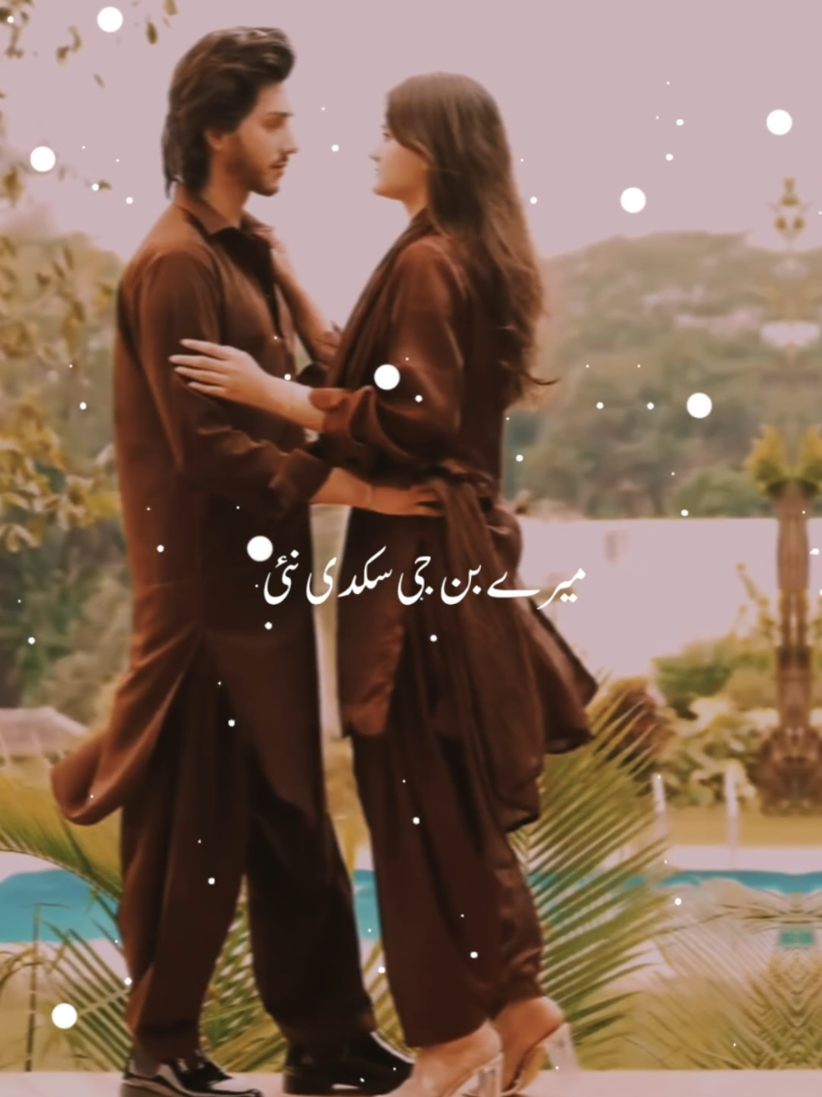 Tainu Dasna Boht Zaruri Ay❤️ #punjabisong #lovesong #song #status #ranain_edits 