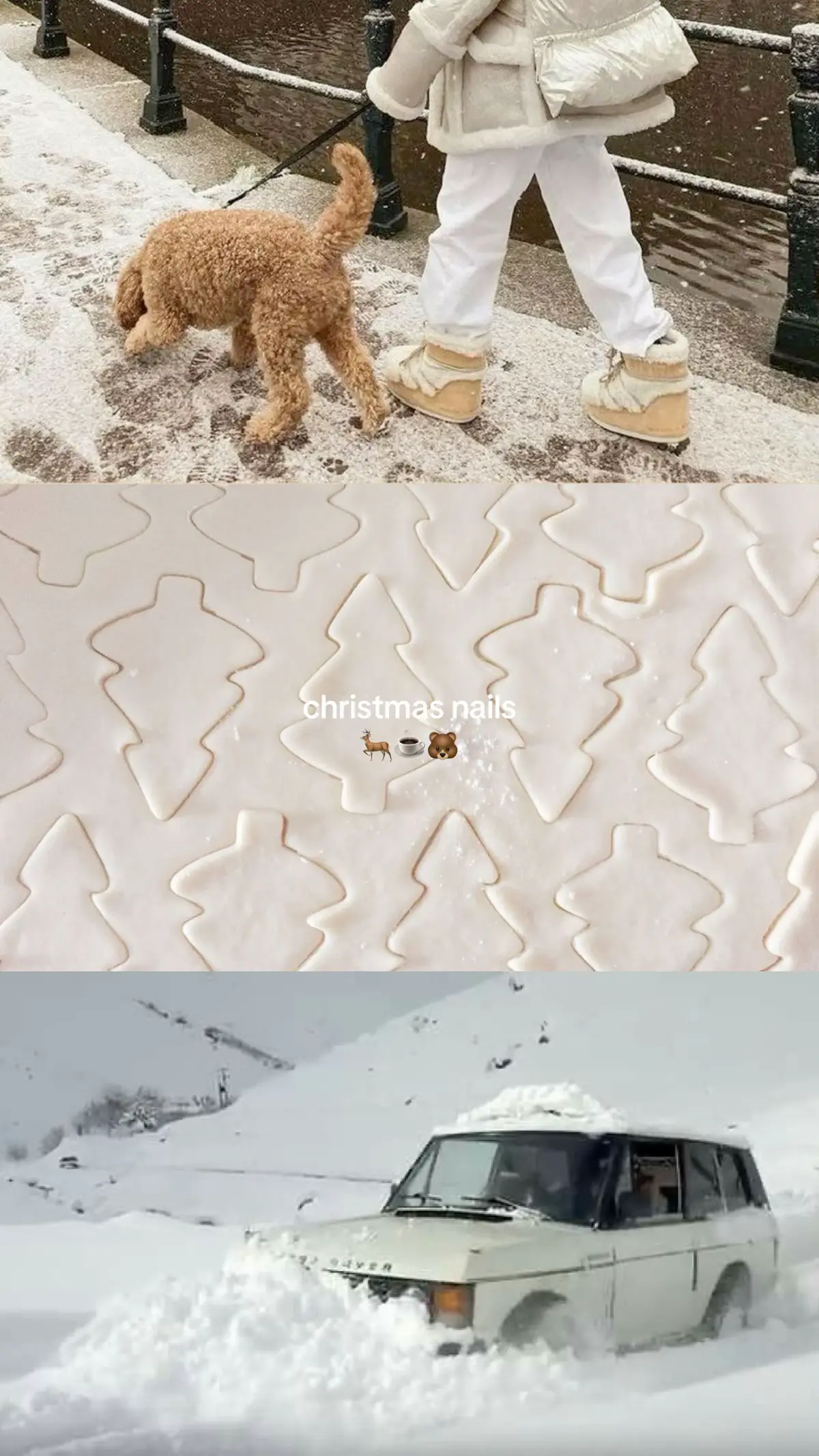 christmas nails 🐻🥂 #christmas #inspo #nails #winter #fyp 