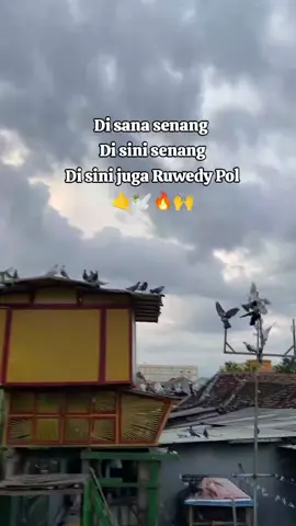 Siap menerima infomu👋 @Biasadipanggilkentus @Akupadamu @Sandy_trii  #crewlasvegas #readybosku #fyp 