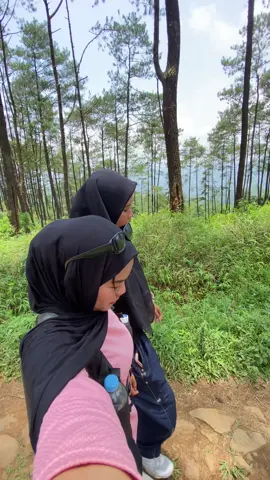 efek ga ada sinyal sesuai feeling cwe hihi