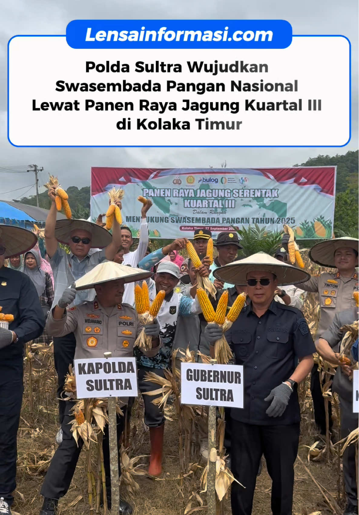 KOLAKA TIMUR – Polda Sulawesi Tenggara (Sultra) sukses melakukan panen raya jagung serentak kuartal III tahun 2025 di Dusun 3, Desa Matabondu, Kecamatan Tirauta, Kabupaten Kolaka Timur (Koltim), Sabtu (27/9/2025). Sebagai bentuk dukungan, pemerintah daerah Koltim bersama Polres Koltim juga menyalurkan bantuan benih jagung untuk 477 hektare lahan di sela-sela panen raya. Kegiatan ini dilaksanakan serentak di seluruh Indonesia melalui zoom meeting yang dihadiri Kapolri Jenderal Listyo Sigit Prabowo, Ketua Komisi IV DPR RI Siti Hediati Soeharto, Menteri Pertanian Amran Sulaiman, serta sejumlah pejabat terkait. Di Kolaka Timur, panen raya diikuti Kapolda Sultra Irjen Pol Didik Agung Widjanarko, S.I.K., M.H., Gubernur Sultra Mayjen TNI (Purn) Andi Sumangerukka, S.E., M.M., Bhayangkari Sultra, Plt Bupati Kolaka Timur Yosep Sahaka, Kapolres Koltim AKBP Tinton Yudha Riambodo, serta jajaran Forkopimda Koltim. Kapolda mengatakan panen raya ini merupakan langkah strategis dalam memperkuat ketahanan pangan nasional. “Panen raya jagung ini tidak hanya untuk memenuhi kebutuhan pangan lokal, tetapi juga sebagai bagian dari upaya kita untuk mewujudkan swasembada pangan nasional pada tahun 2025,” ujarnya. Sementara itu, Plt Bupati Kolaka Timur Yosep Sahaka dalam sambutannya menyampaikan rasa syukur atas dukungan pemerintah dan masyarakat.  Ia melaporkan bahwa pada 2024 luas panen jagung di daerahnya mencapai 4.778 hektare dengan produksi sebesar 21.085 ton. “Data luas panen jagung di Kabupaten Kolaka Timur pada tahun 2024 mencapai 4.778 hektare dengan produksi 21.085 ton. Kami berkomitmen untuk terus meningkatkan kualitas dan produktivitas penghasilannya,” ucap Yosep. Selain itu, program penanaman dua hektare jagung per desa juga digalakkan di 117 desa se-Kolaka Timur. “Kami terus berkomitmen untuk menjadikan Kabupaten Kolaka Timur sebagai salah satu lumbung pangan di Sulawesi Tenggara,” tegasnya. Panen raya jagung di Kolaka Timur menjadi bukti nyata sinergi antara kepolisian, pemerintah daerah dan masyarakat dalam memperkuat ketahanan pangan serta menjadikan sektor pertanian, khususnya jagung, sebagai pilar ekonomi daerah. #poldasultra #polreskoltim #panen #sulawesitenggara #fyp 