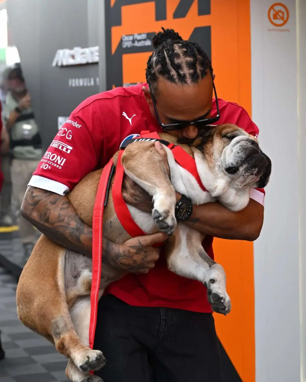 C’est une absence qui n’est pas passée inaperçue. Attendu ce vendredi 26 septembre sur le circuit italien du Mugello pour participer aux tests Pirelli, Lewis Hamilton n’est finalement pas monté dans sa Ferrari. Le pilote britannique a préféré rester au chevet de son fidèle compagnon Roscoe, hospitalisé et plongé dans le coma après une grave pneumonie. Depuis plus de dix ans, le bouledogue anglais suit le septuple champion du monde sur tous les circuits, devenant l’une des mascottes les plus aimées du paddock et une véritable star des réseaux sociaux. À la place du pilote Ferrari, c’est le Chinois Guanyu Zhou qui a pris le volant pour ces essais. Sur Instagram, Hamilton a partagé son inquiétude avec ses fans : « Roscoe est entre les mains des meilleurs vétérinaires. Continuez à envoyer votre amour et vos prières. » 🤲  #lewishamilton #roscoehamilton #ferrari #sportstiktok #dog 