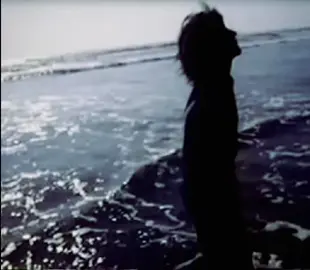 #قاسم_السلطان #شيجيبكم #fyp #viral #foryoupage 