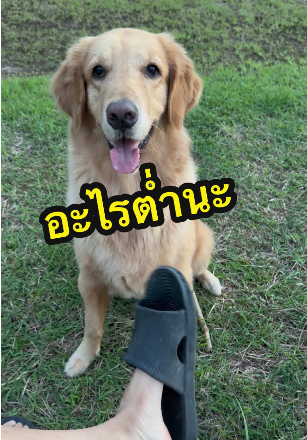 อะไรต่ำๆนะ