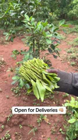 #njubamira #foryoupage❤️❤️ 