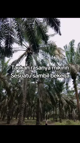 Sudah biasa jadi makanan saya di setiap harinya.