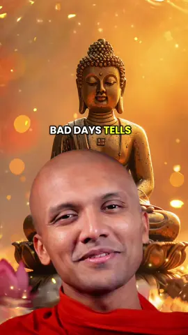 don't Waste Your time #buddha #budhism 