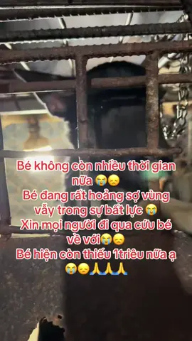 Bé đang ở lò mổ đang rất hoảng sợ😭xin mọi người đi qua giúp đỡ cứu bé ạ 🙏🙏🙏