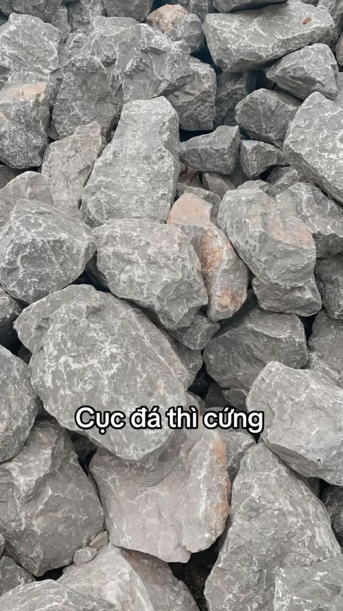 #highlandscoffee #dilamcogivui #fyp #viral 