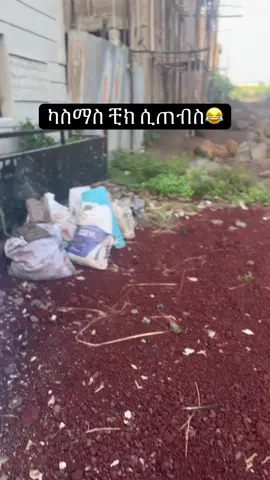 ካስማሰ 😎#ethiopssian_tik_tok🇪🇹🇪🇹🇪🇹 #videoviral #foryoupage share copy link ማድረግ እንዳይረሳ🙏