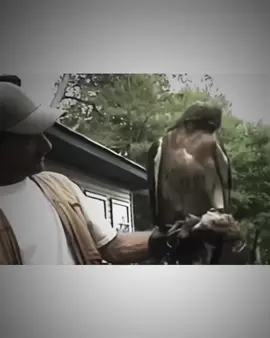 في عقولنا كل أنواع الإجرائم ولاكن لا مكان للغدر في قلوبنا .  #عبارات_جميلة_وقويه😉🖤 #وحيدمرادي_روحت_شاد_دادش_عقاب_ايران #ابوحربFM 