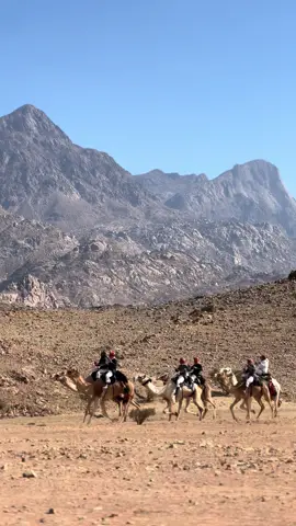 ارشيف #اكسبلورexplore 