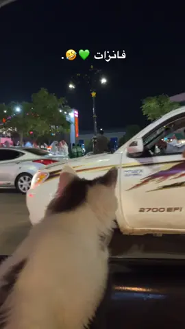 فانزات اليوم الوطني🤣#