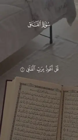سورة الفلق 🤍 #قران #مشاري_العفاسي #quran