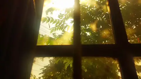 Giá như cuộc đời là một thước phim thì mình sẽ tua đi tua lại khoảnh khắc mình hạnh phúc nhất..