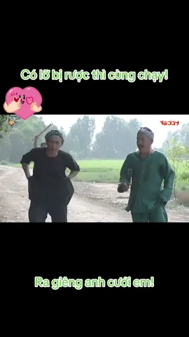 #phimragienganhcuoiem #saubanh #namcu #tamsumo 