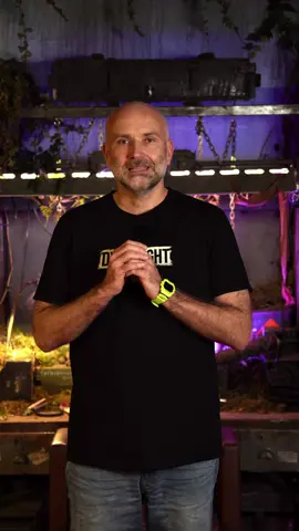 Next week we’ll be recording a special video where we go through our favorite and most fun comments. Want to see your Steam review in there? Don’t wait around and drop your it today! #DyingLightTheBeast 