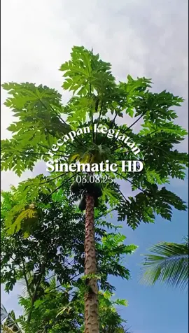 kegiatan hari Sabtu nya,besok Tabanas 5jt#promoseruweekend #sekedarhobi #pmtibandung #lapaknewjarko #pmtiindonesia 