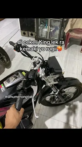 #135cc#4u#rxking135cc#rongtak#rxkingindonesia
