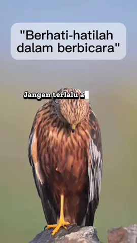 Assalamualaikum  #fyppppppシ゚🌹 