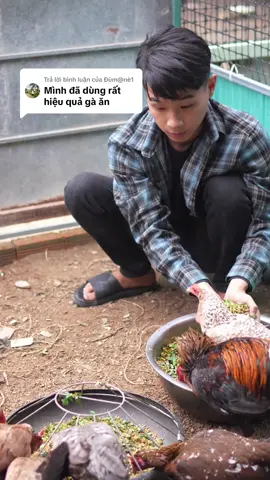 Trả lời @Đùm@nè1 