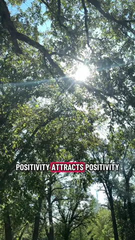 Happy Saturday ❤️Remember, Positivety attracts positive vibes #EmClimaUltraLeve #creatirsearchinsights #saturdayvibes #positivity #creatorsearchinsights 