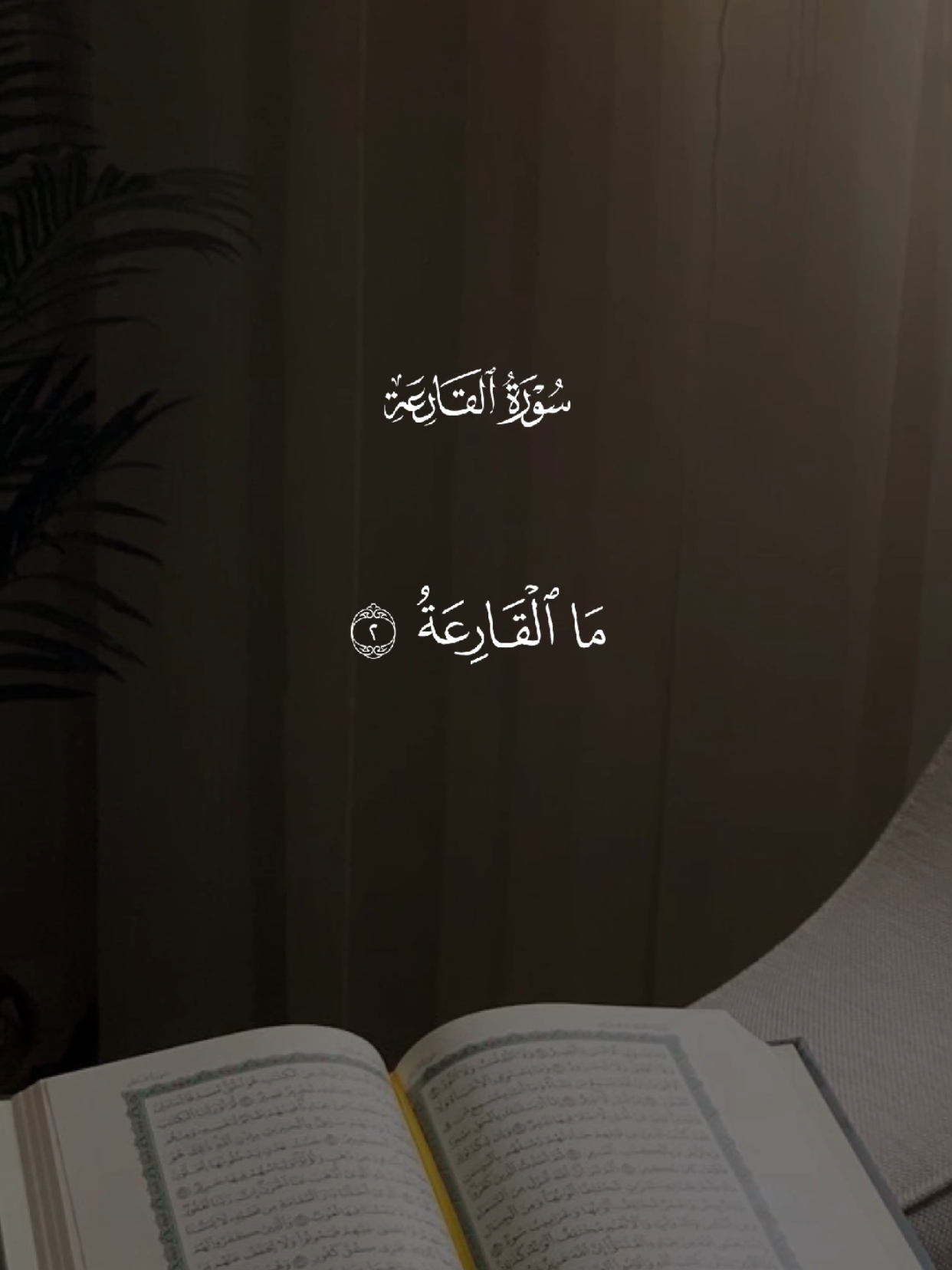 سورة القارعة 🤍 #قران #quran #قران_كريم #Allah #اللهم_صلي_على_نبينا_محمد 