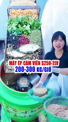 Máy ép cám viên 2 lô vát đem lại lợi nhuận cho bà con #channuoi #binhquangroup #bqg #nôngnghiệp #kinhdoanh 