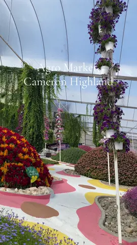 Family trip @Agro Market, Cameron Highland🌺🌸🌼🌻🕊️🦜 #cameronhighland #agromarket #fyp 