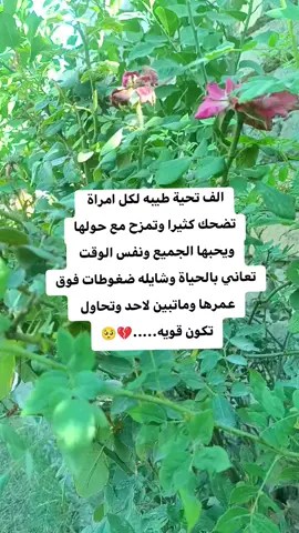 #اوف #اكسبلو #البصرةكربلاء__بغداد_الحبيبه_الناصريه #النجف #💔🥀😔💔🥀😔💔🥀😔😥😥😥aع 