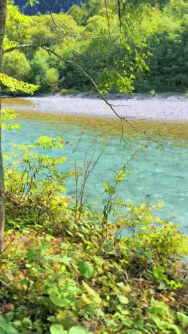 Kamikōchi – Valley of Legends Kamikōchi, the jewel of the Northern Alps, feels like stepping into a living painting. The Azusa River glitters under the sun, its water so clear you can see every stone at the bottom. Travel itinerary .                       1.Matsumoto → Shin-Shimashima 	•	Route: Alpico Kamikōchi Line train 	•	Duration: ~30 minutes 	•	Fare: ~710 yen 	•	This is a small local train that takes you out of the city into the mountains. ⸻ 2. Shin-Shimashima → Kamikōchi 	•	From Shin-Shimashima Station, transfer directly to the Alpico bus bound for Kamikōchi. 	•	Duration: ~65 minutes 	•	Fare: ~1,800 yen 	•	The bus winds through valleys and tunnels—already giving mountain views. ⸻ 3. Arrival at Kamikōchi 	•	The bus drops you at Kamikōchi Bus Terminal. 	•	From here, it’s a short 5–10 minute walk to Kappa Bridge (the symbolic heart of Kamikōchi).