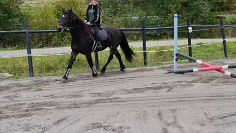 prøv å hopp en traver😌 søteste mikkel😍 . . . #. #.foryou#mikkel #horseluv #sprang  .