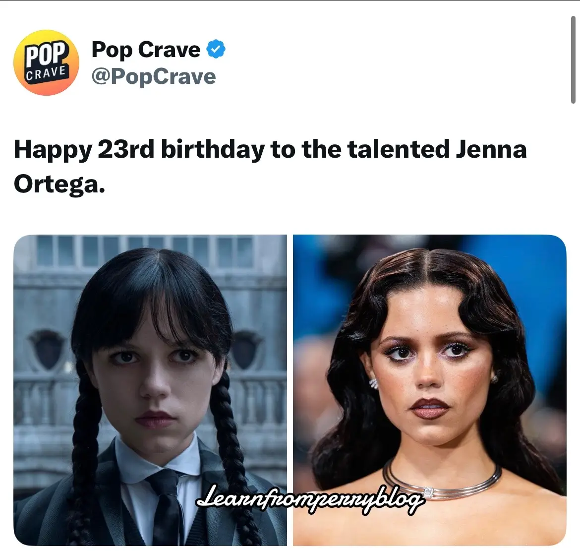 Happy 23rd birthday to the talented Jenna Ortega. #jennaortega #wednesday #learnfromperryblog 
