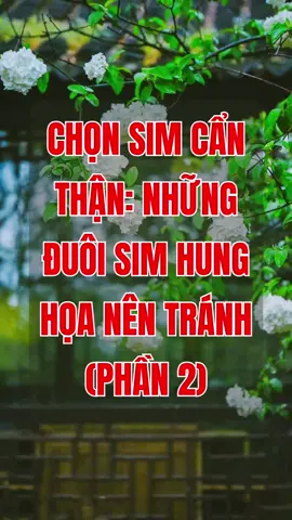 Chọn sim nên lưu ý, tránh các đuôi số mang ý nghĩa không may mắn. #simphongthuy #simnentranh #ynghiasim #tuvansimphongthuy #sieuthisimthe 