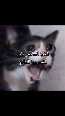 #btsarmy #مالي_خلق_احط_هاشتاقات ##نتائج_السادس_دور_الثاني #foryoupage #مالي_خلق_احط_هاشتاقات 