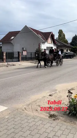 #lovasok #lovasfelvonulas #2025#felvonulas🐴♥ #Tabdi @István Kakulya770 @💖kittike💖 @andreabertasomogy 