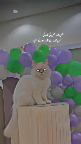 Lines…:::😐💔#foryoupagе #explore #videoviral #statusvideo #miakhankheel321 