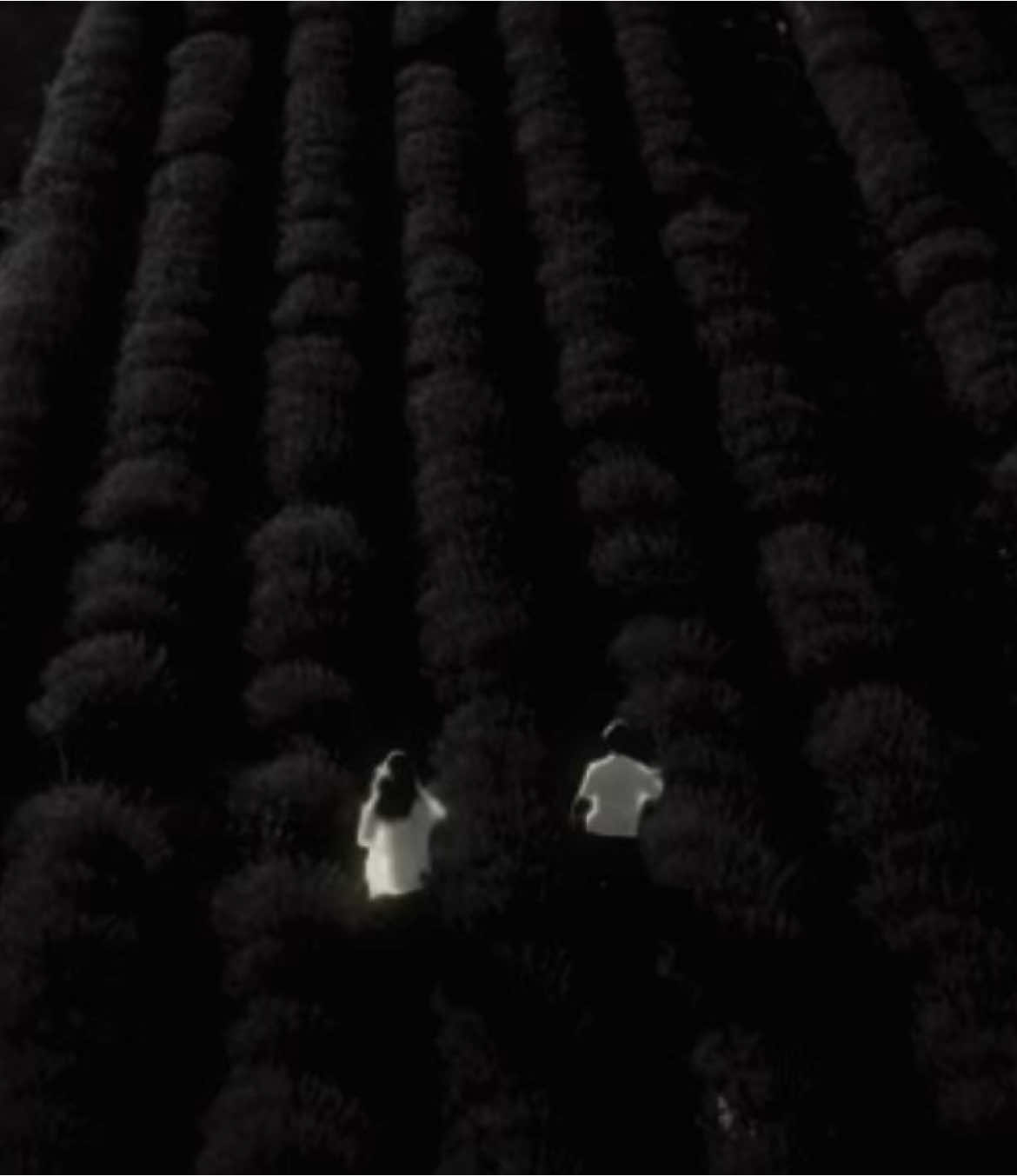 🎼Chỉ vì hôm nay nắng lung linh lung linh…#nhacbuon #tamtrang #sadmusic #xh #xuhuong 