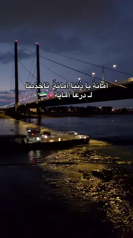 أمانةَ يا دُنيا أمانةَ، تاخِذينا  لـ درعا أمانةَ🫀🇸🇾 #درعا #fyp #viral #arabi_963_ #درعا_حوران_سوريا 