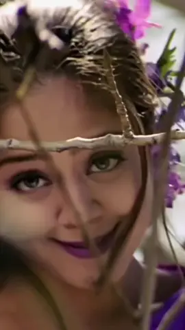 ✨≽≽ #foryou #flypシ #srilanka #europe #teddybear 