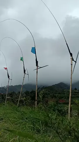 pas harita ngadon di cipancuh grup KKS🔥#fyppppppppppppppppppppppp #kolecer #kolecersunda  #hiburansunda #