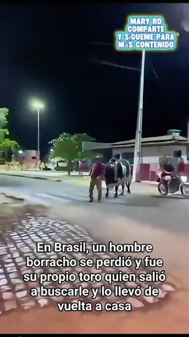 #quesalgaeltoro #eltoro #mexico #brazil 