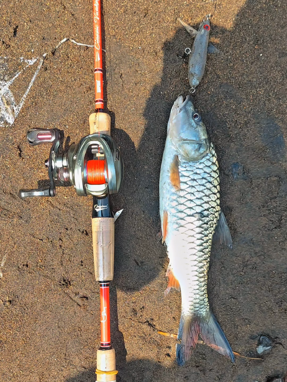 TopWaterAttack💦💥 masih jadi andalan air keruh air bening Wtd Splash dari @PRAS LURE💥   #storymancing #mancing #hampala #hampalajogjakarta #mancingcasting 