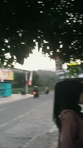 tumbas sate#masukberanda #jawapride #magelang24jam #foryoupage #fyppppppppppppppppppppppp 