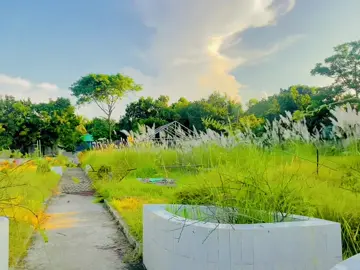 কেনো নামাজ পরলা না..!  🥺😅 #furyou #furyoupage #vairal #fyp #vairal_video 
