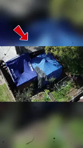 grabacion de las tres chicas live. #parati #ultimahora #fyp Todo lo que se muestra en este video es con fines informativos.