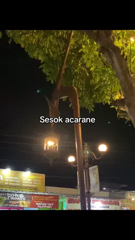 #4u #masukberanda #bahanswmu #xyzbca #fypシ゚viral 